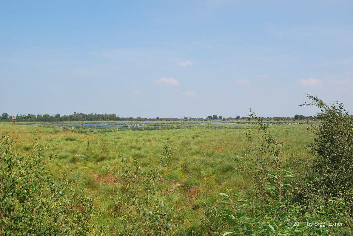 Venner-Moor-Nordwestlicher Bereich